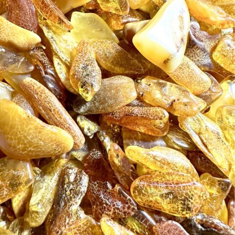 Jantar – Litva – 900g
