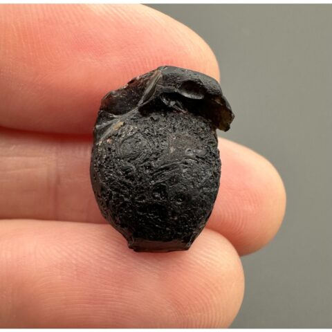 Australit “knoflík” 1,8g – Kalgoorlie, Západní Austrálie