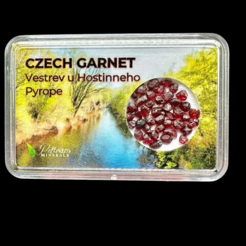 Český granát (pyrop) v krabičce – Vestřev u Hostinného, ČR