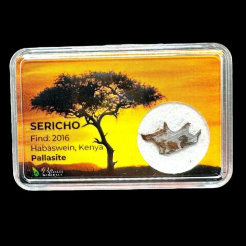 Meteorit Pallasit Sericho 0,3g – Keňa