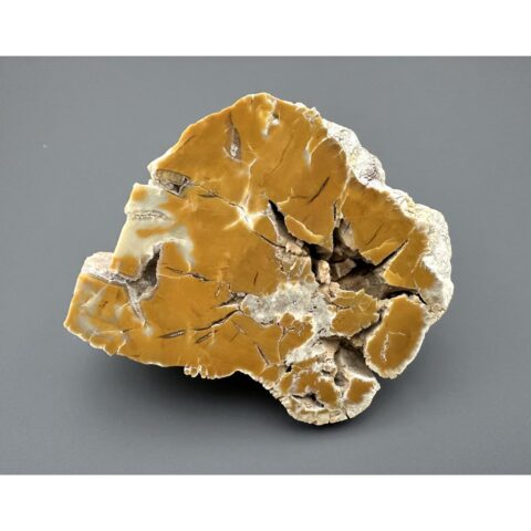 Chalcedon – Všechlapy, ČR