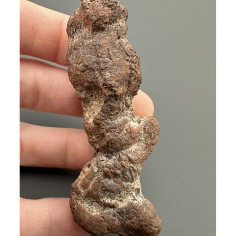 Koprolit 7cm – Marovato, Madagaskar
