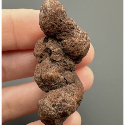 Koprolit 4,5cm – Marovato, Madagaskar