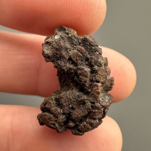 Koprolit 1,9cm – Marovato, Madagaskar