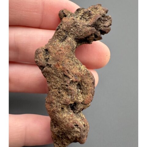 Koprolit 5,8cm – Marovato, Madagaskar