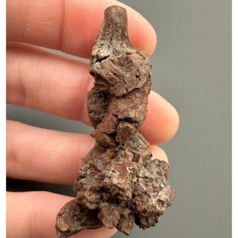 Koprolit 4,8cm – Marovato, Madagaskar