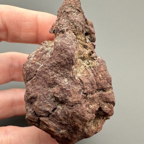Koprolit 6,7cm – Marovato, Madagaskar