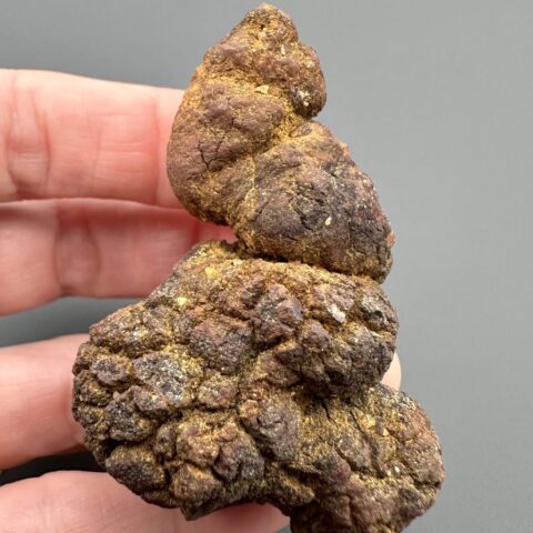 Koprolit 5,7cm – Marovato, Madagaskar