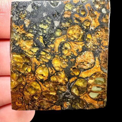 Meteorit Pallasit Jepara 11,6g – Java, Indonesia