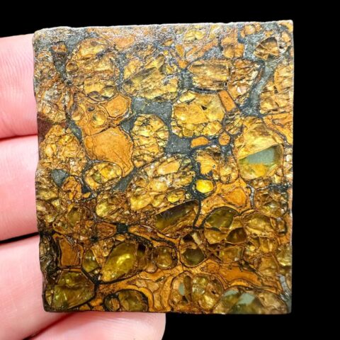 Meteorit Pallasit Jepara 8,8g – Java, Indonesia