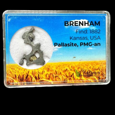 Meteorit Pallasit Brenham 2,99g – Kansas, USA
