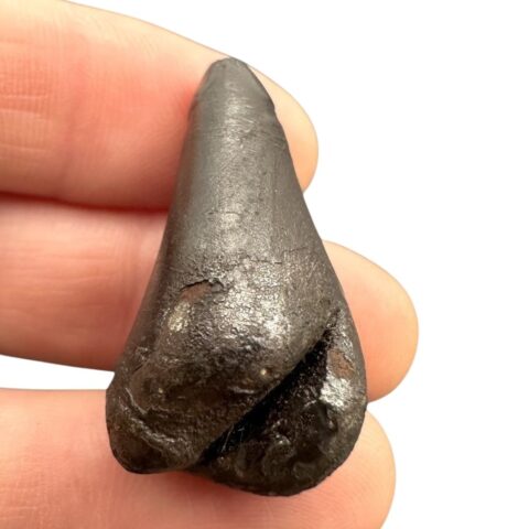Meteorit Sikhote Alin 23g – Rusko