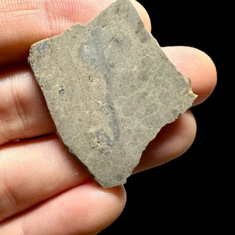 Meteorit Jikharra 001 – 4,16g – Libye