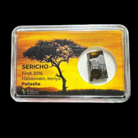 Meteorit Pallasit Sericho 1,79g – Keňa