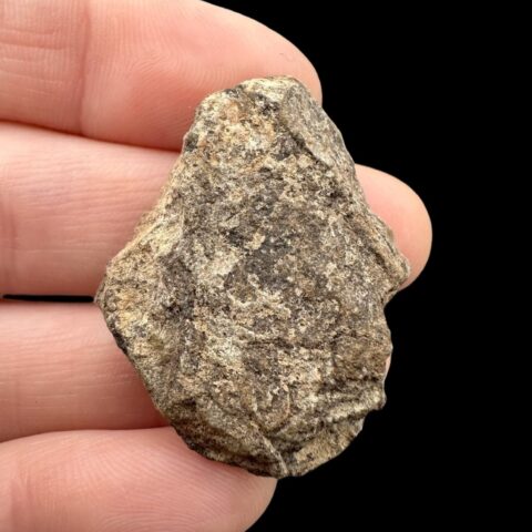 Meteorit Al Haggounia 001 – 11,1g – Západní Sahara