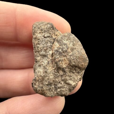 Meteorit Al Haggounia 001 – 8,8g – Západní Sahara