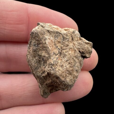 Meteorit Al Haggounia 001 – 11,8g – Západní Sahara