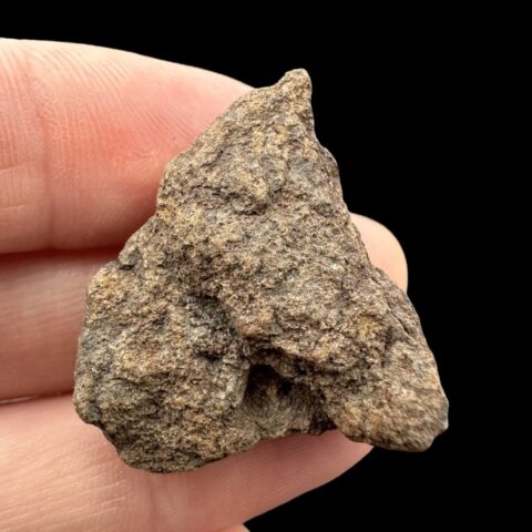 Meteorit Al Haggounia 001 – 9,2g – Západní Sahara
