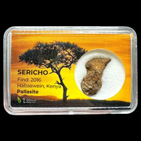 Meteorit Pallasit Sericho 2g – Keňa