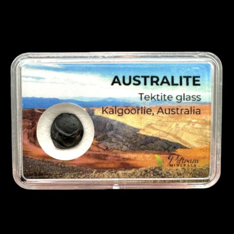 Australit “knoflík” v krabičce – Kalgoorlie, Západní Austrálie