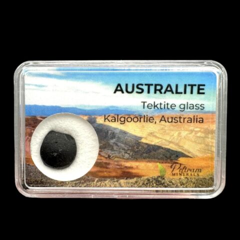 Australit “knoflík” v krabičce – Kalgoorlie, Západní Austrálie