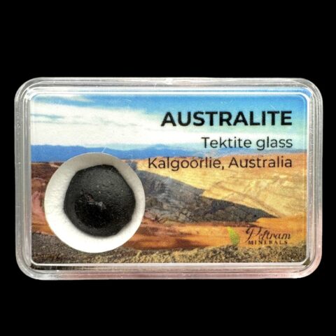 Australit “knoflík” v krabičce – Kalgoorlie, Západní Austrálie