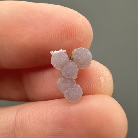 Hroznový chalcedon – Sulawesi – Indonésie – 0,3g