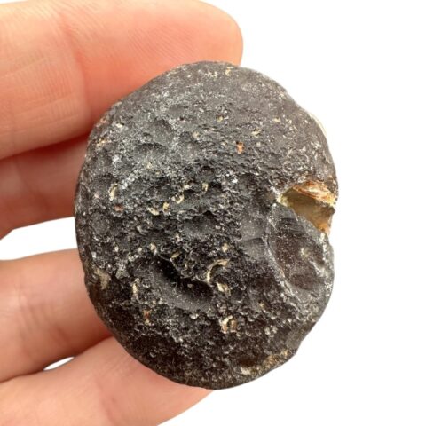 Kolumbianit 23,1g – Valle del Cauca, Kolumbie