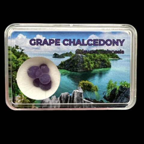 Hroznový chalcedon v krabičce – Sulawesi – Indonésie