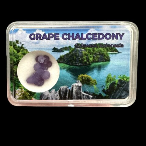 Hroznový chalcedon v krabičce – Sulawesi – Indonésie