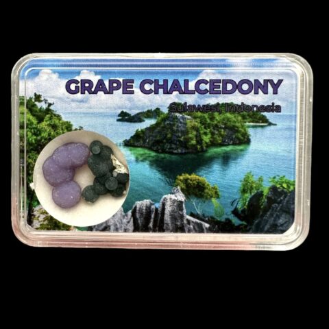 Hroznový chalcedon v krabičce – Sulawesi – Indonésie