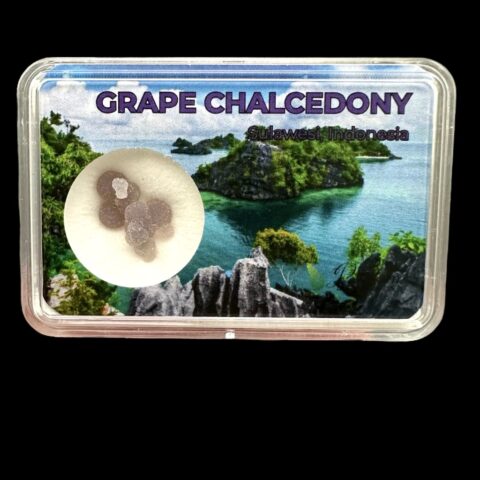 Hroznový chalcedon v krabičce – Sulawesi – Indonésie