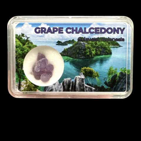 Hroznový chalcedon v krabičce – Sulawesi – Indonésie