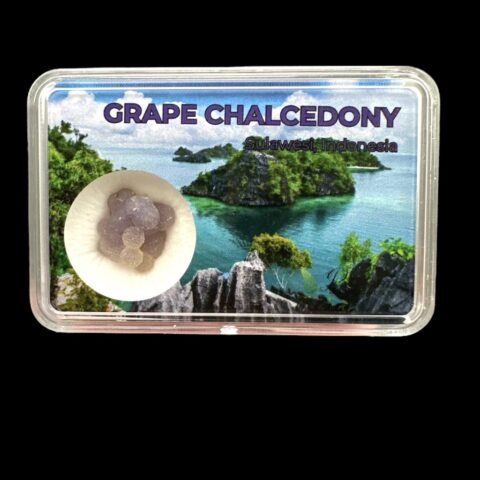 Hroznový chalcedon v krabičce – Sulawesi – Indonésie