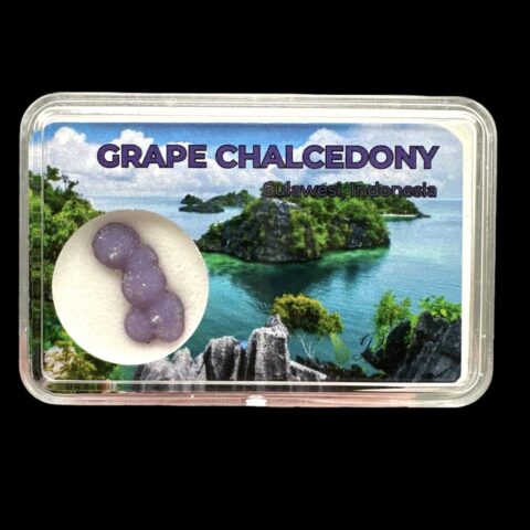 Hroznový chalcedon v krabičce – Sulawesi – Indonésie