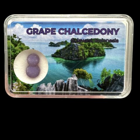 Hroznový chalcedon v krabičce – Sulawesi – Indonésie