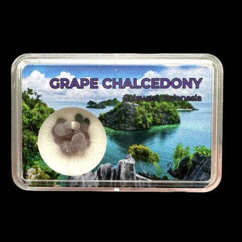 Hroznový chalcedon v krabičce – Sulawesi – Indonésie