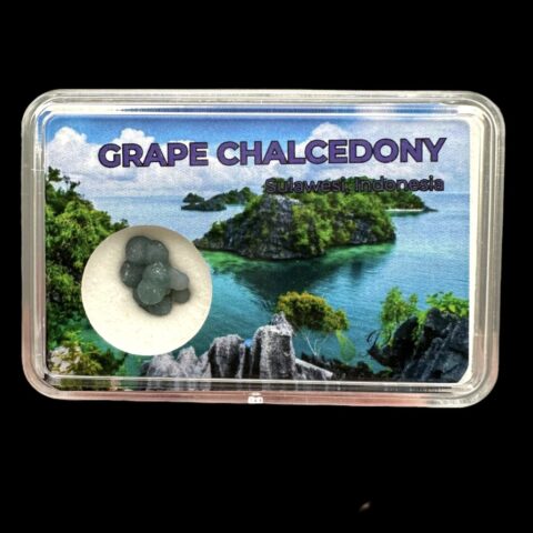 Hroznový chalcedon v krabičce – Sulawesi – Indonésie