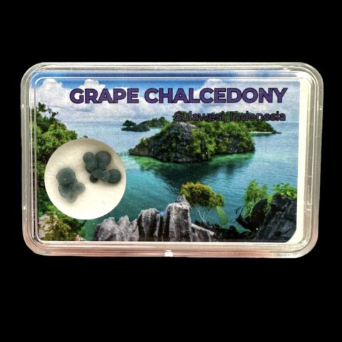Hroznový chalcedon v krabičce – Sulawesi – Indonésie