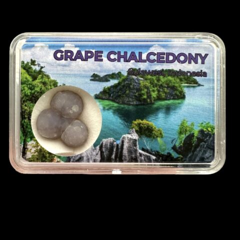 Hroznový chalcedon v krabičce – Sulawesi – Indonésie