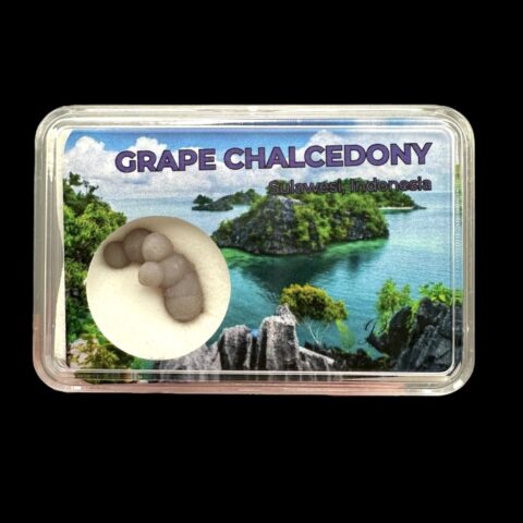 Hroznový chalcedon v krabičce – Sulawesi – Indonésie