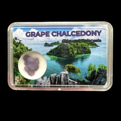 Hroznový chalcedon v krabičce – Sulawesi – Indonésie