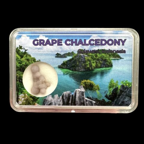 Hroznový chalcedon v krabičce – Sulawesi – Indonésie