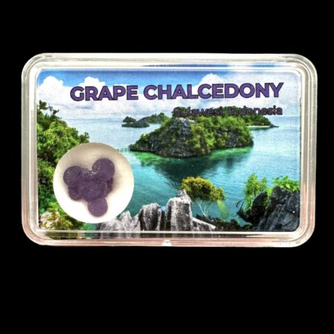 Hroznový chalcedon v krabičce – Sulawesi – Indonésie