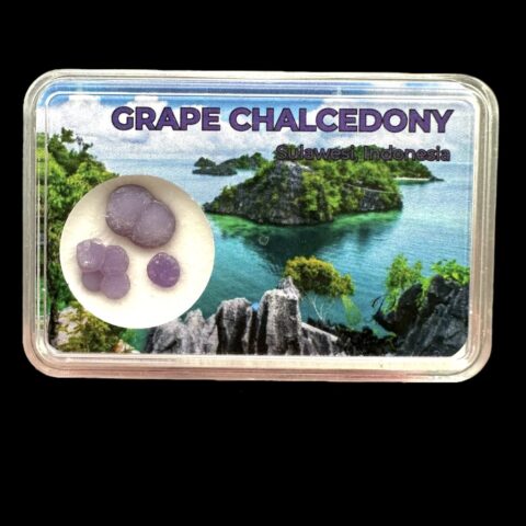 Hroznový chalcedon v krabičce – Sulawesi – Indonésie