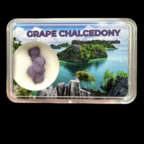 Hroznový chalcedon v krabičce – Sulawesi – Indonésie