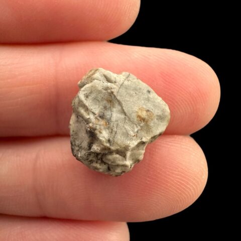 Meteorit Djoua 001 – 1,2g – Alžírsko