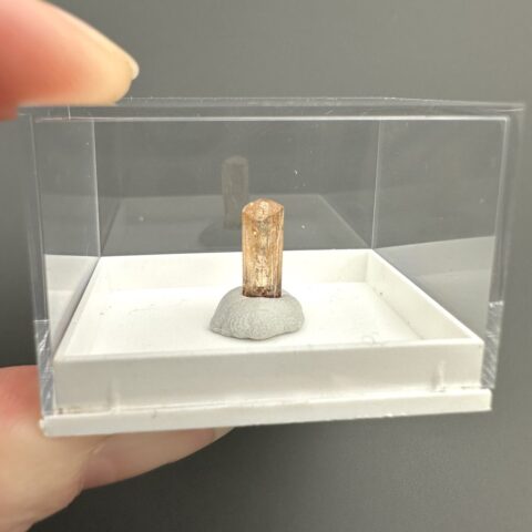 Imperial Topaz – Brazílie