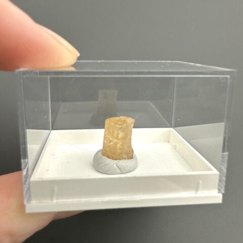 Imperial Topaz – Brazílie
