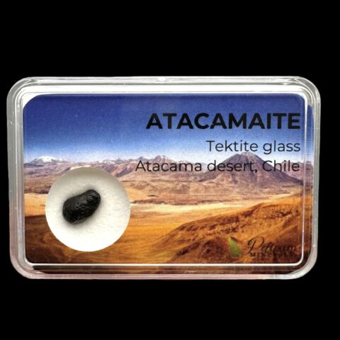 Atacamait v krabičce – Poušť Atacama, Chile
